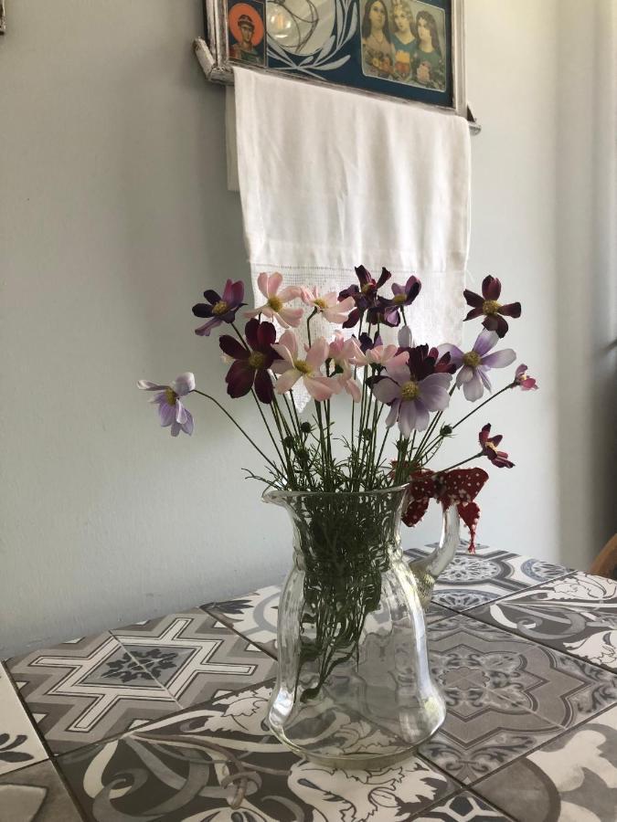 Anastasia'S House Kallirákhi 외부 사진